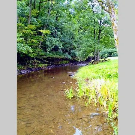 Alpaka Blick Apartamento Schneppenbach