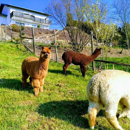 Alpaka Blick Apartamento *