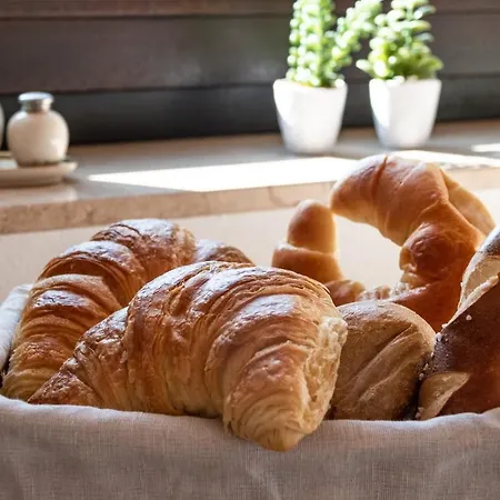 Alpaka Blick Apartmán *