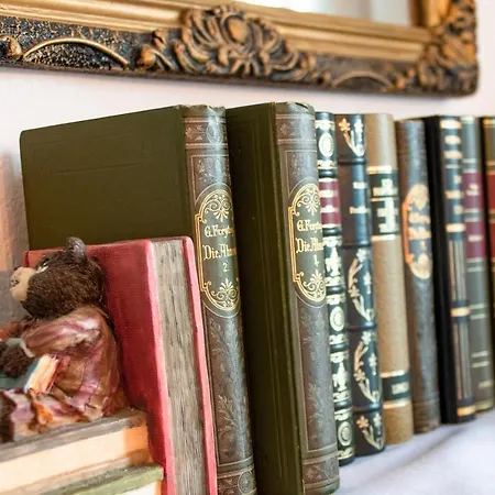 Alpaka Blick Apartamento Schneppenbach