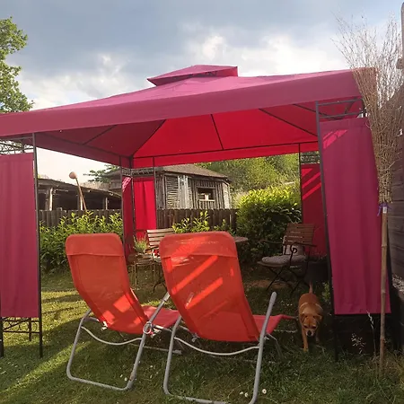 Alpaka Blick Schneppenbach