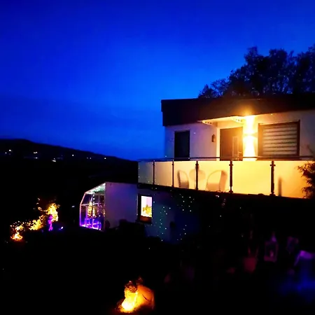 Alpaka Blick
