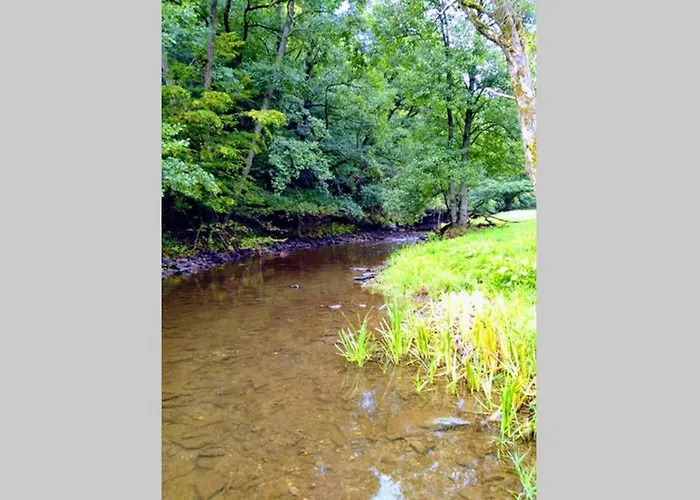 Alpaka Blick 公寓 Schneppenbach