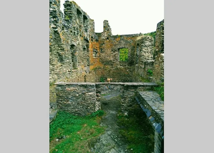 Alpaka Blick * Schneppenbach