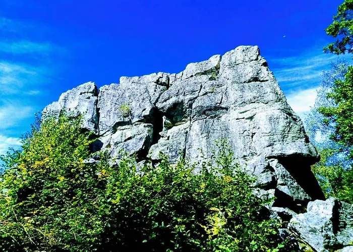 Alpaka Blick 公寓 Schneppenbach