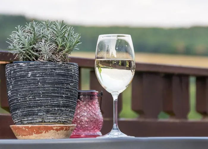 Alpaka Blick * Schneppenbach