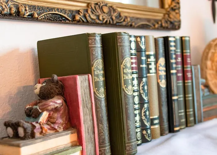 Alpaka Blick Lägenhet Schneppenbach