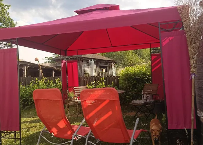 Alpaka Blick Schneppenbach